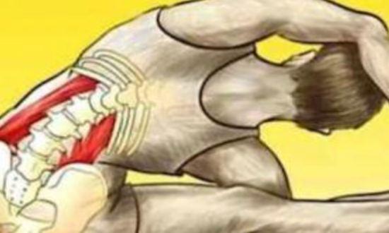 Ilustración editorial: molestia en zona lumbar — imagen simbólica